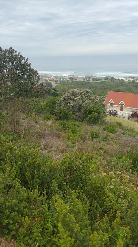 0 Bedroom Property for Sale in Outeniqua Strand Western Cape